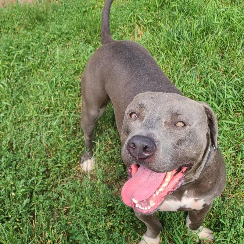 Big Papa thumbnail 3