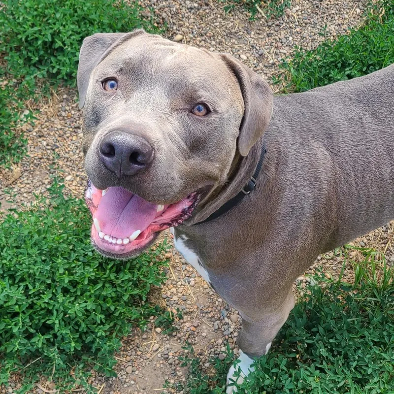 Big Papa thumbnail 4