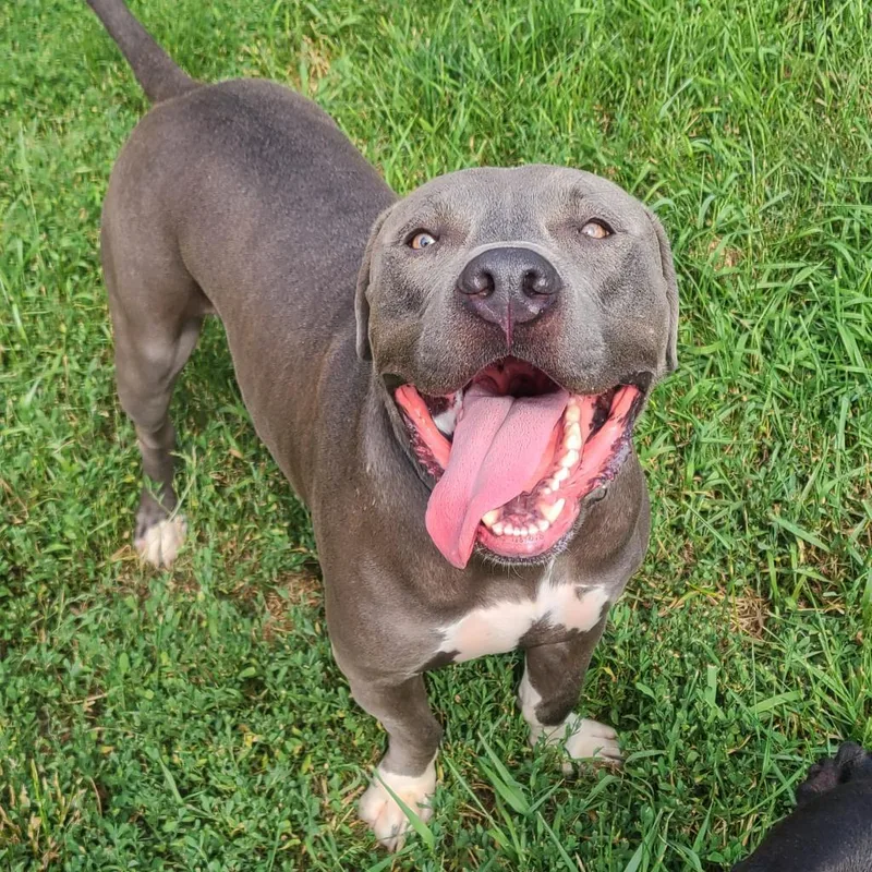 Big Papa thumbnail 5