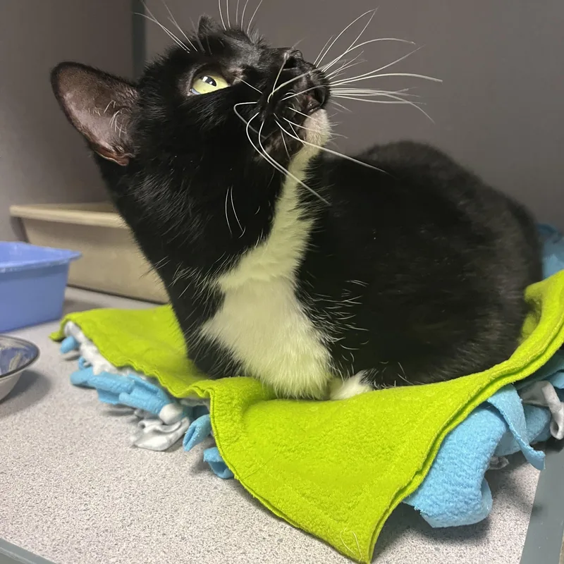 Princess thumbnail 2