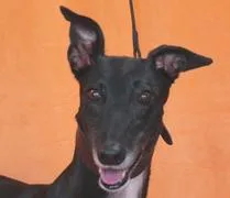 Pay Me Now thumbnail 2