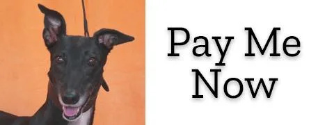 Pay Me Now thumbnail 3