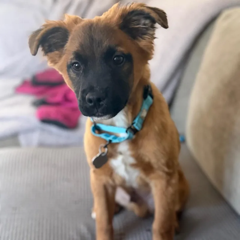 Fernando thumbnail 2