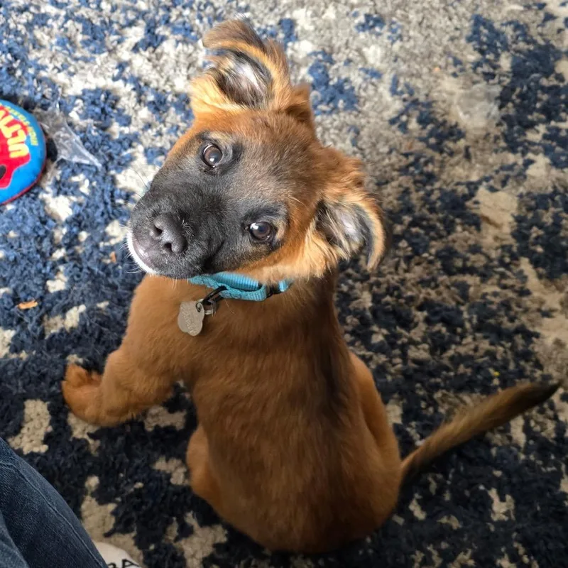 Fernando thumbnail 3