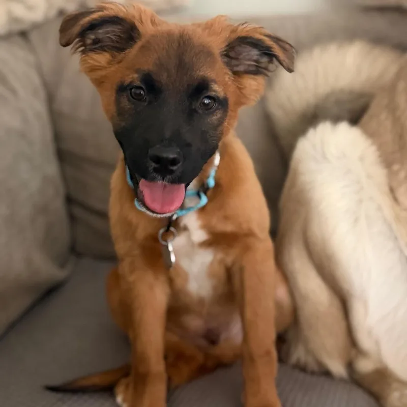 Fernando thumbnail 4