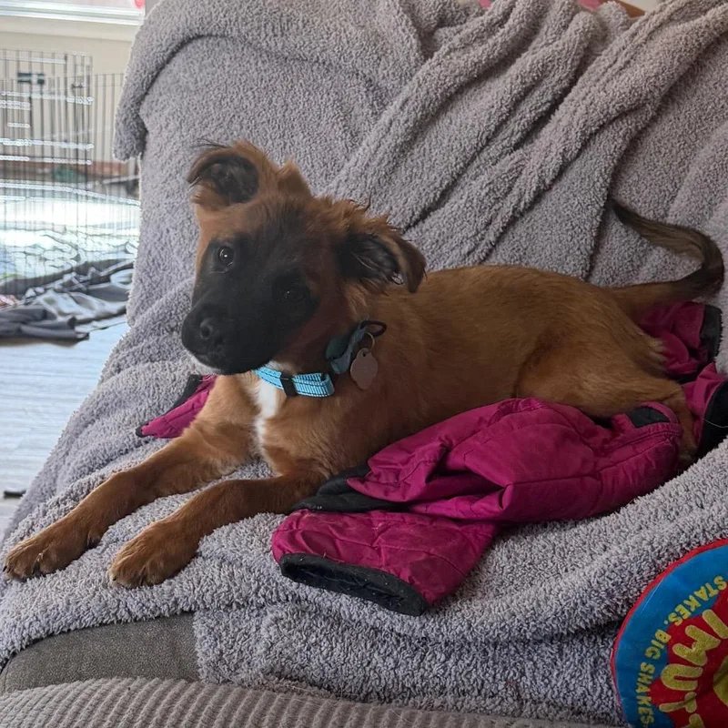 Fernando thumbnail 5