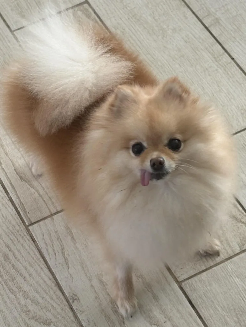 Come On Little Suzy!!!