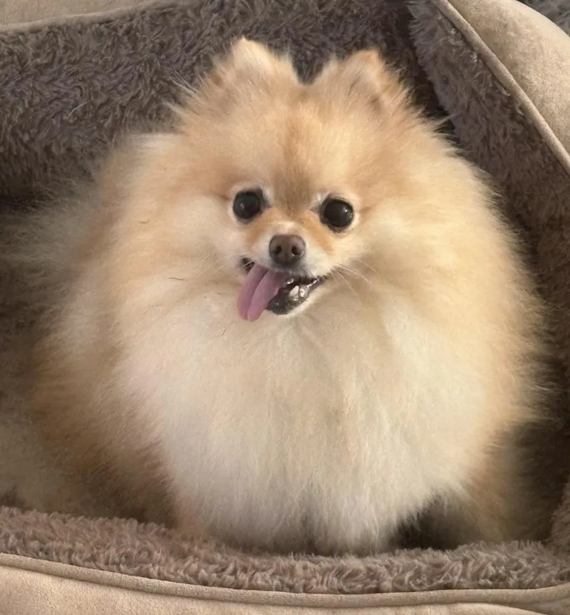 Come On Little Suzy!!! thumbnail 2