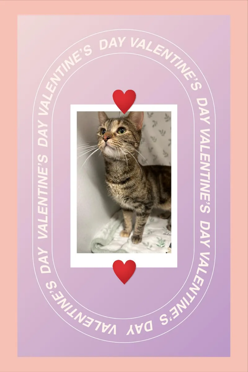 Prim Rose thumbnail 2