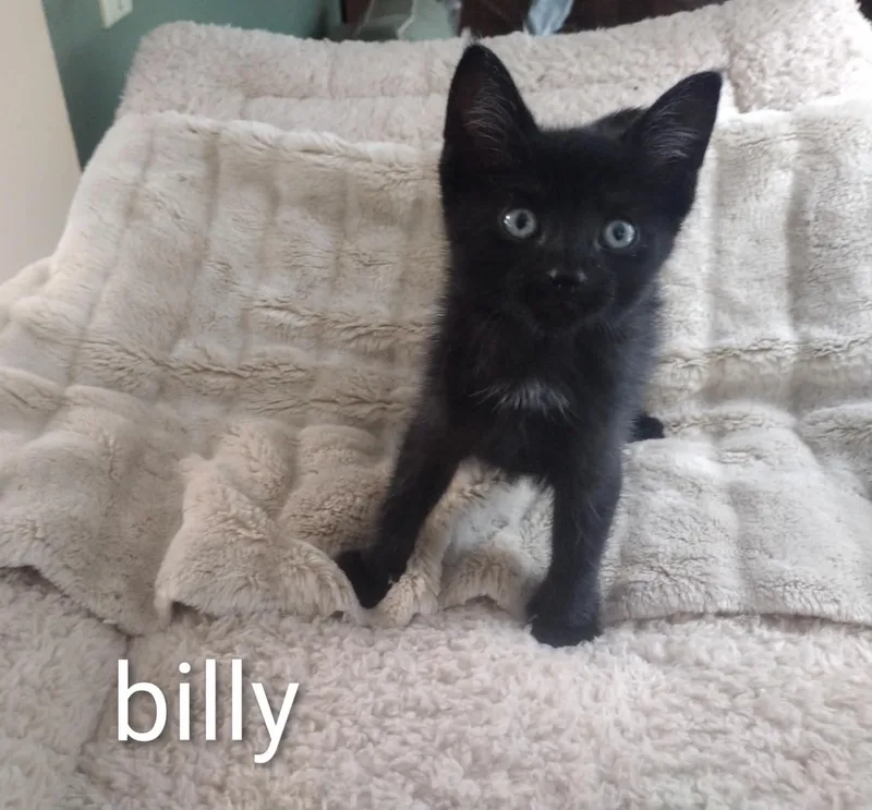 Baby Billy thumbnail 2