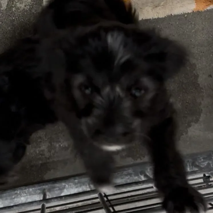 Ketchup A thumbnail 2