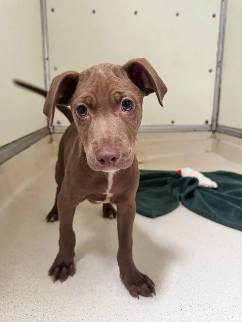 Fairbanks thumbnail 3