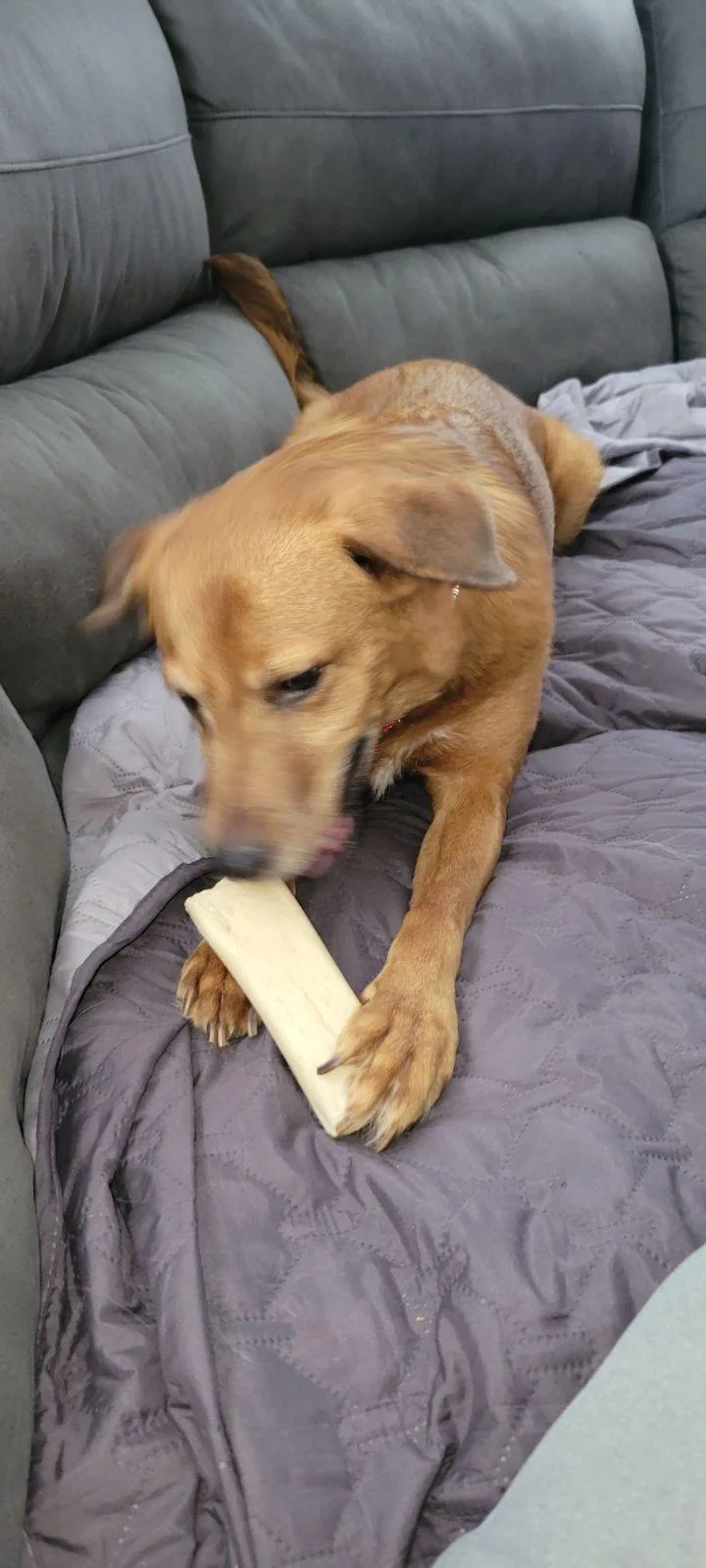 Juliette thumbnail 2