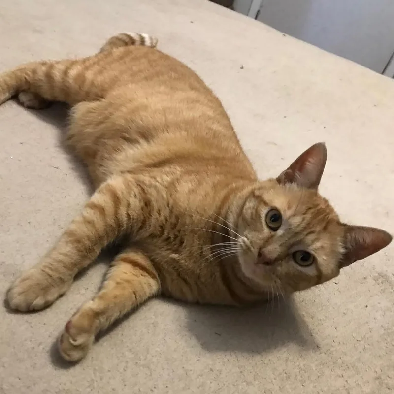 Sundance thumbnail 2