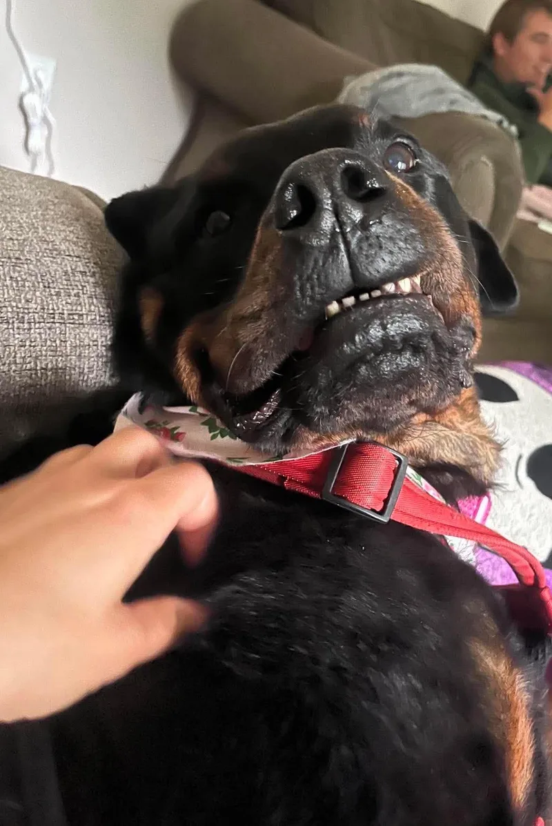 Coco thumbnail 3