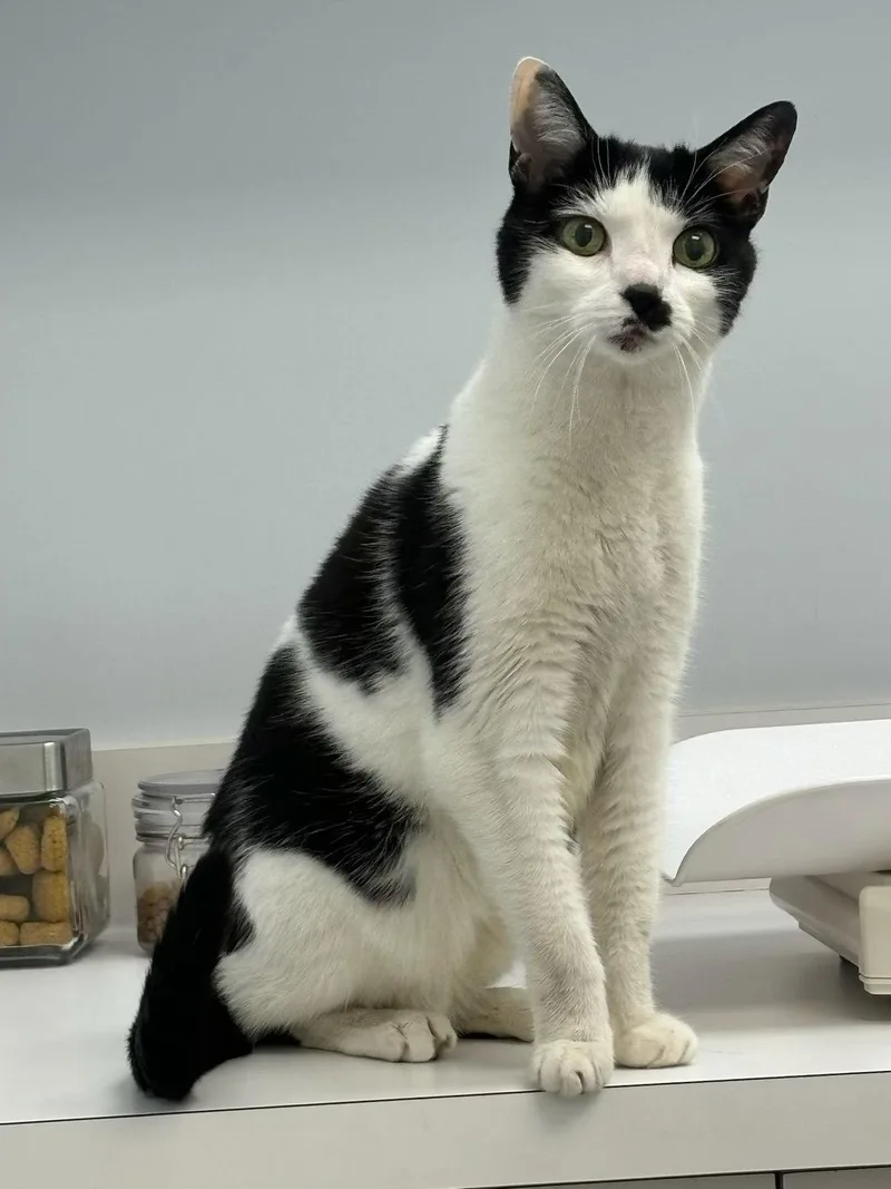 June Bug thumbnail 3