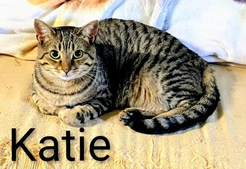 Katie