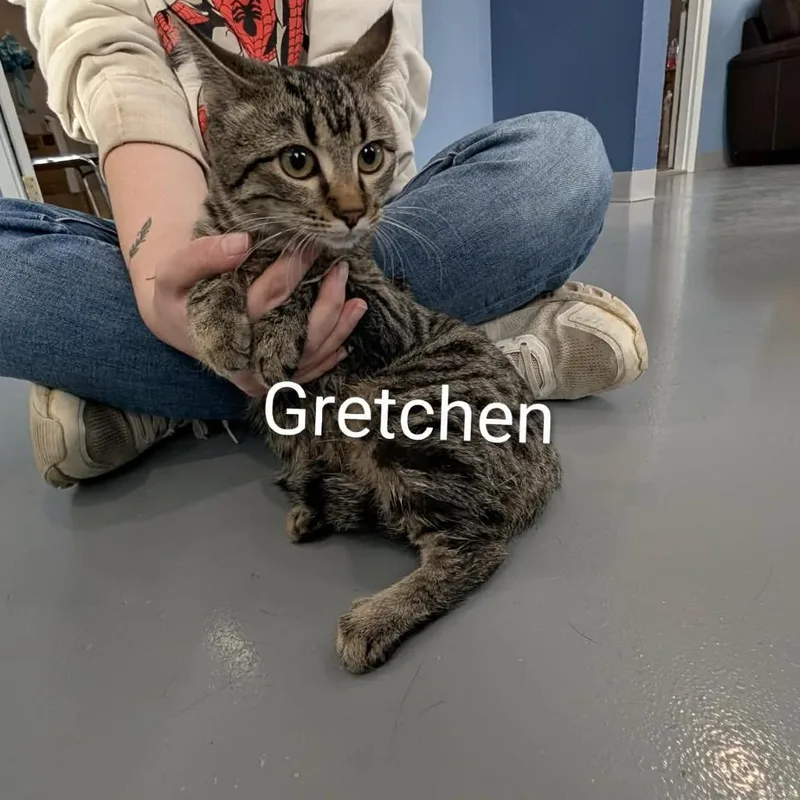 Gretchen