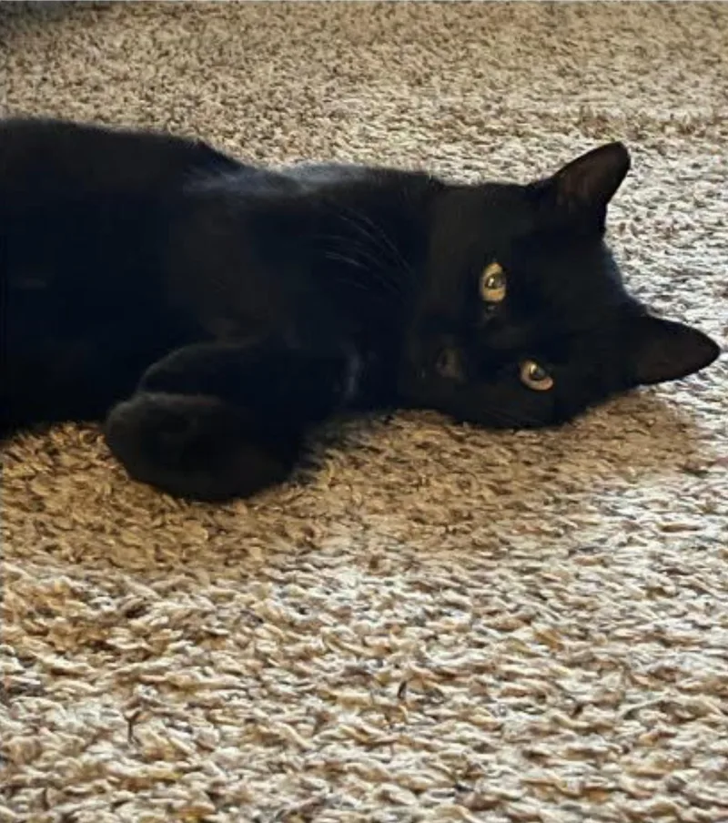 Sabrina thumbnail 2