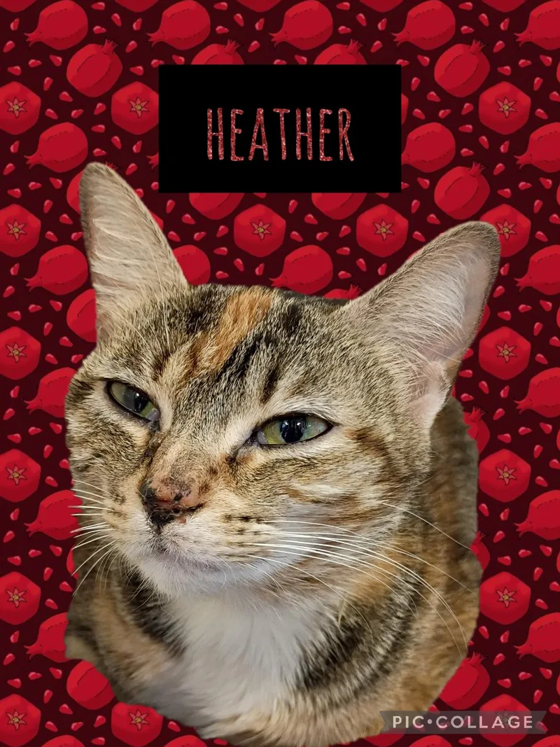 Heather