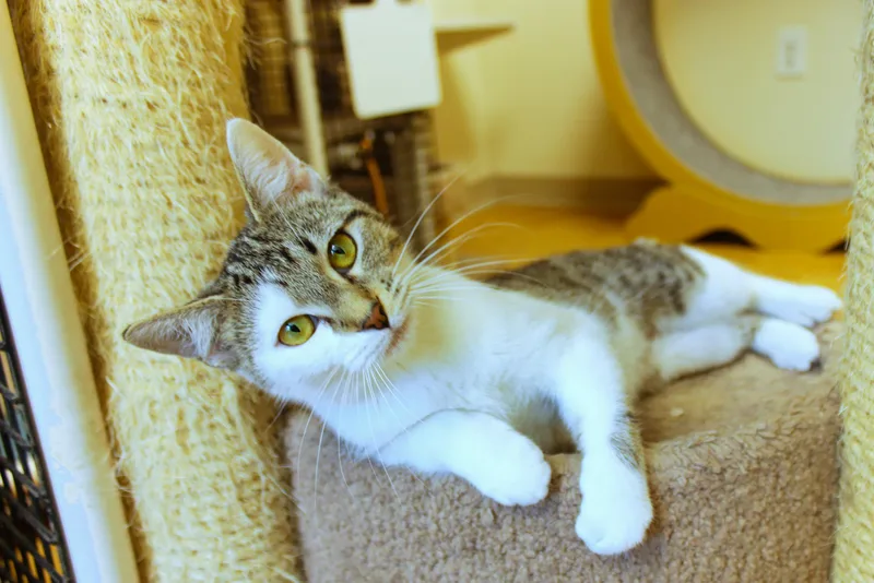 Princess thumbnail 5