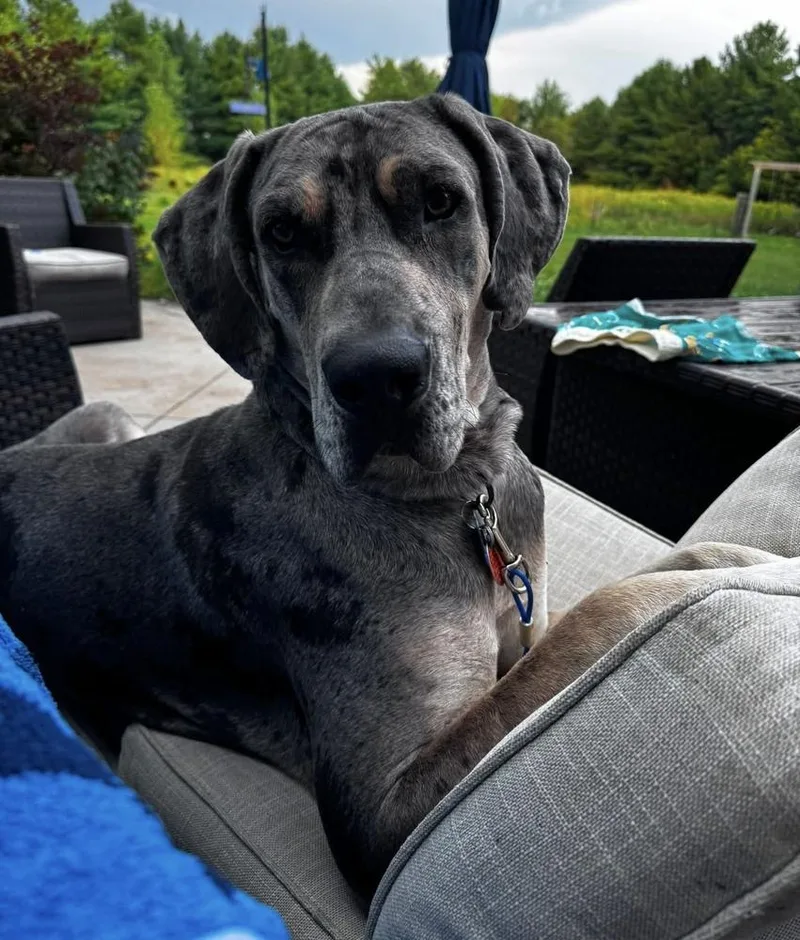 Thunder thumbnail 4