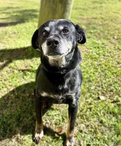 Johnny Cash thumbnail 2