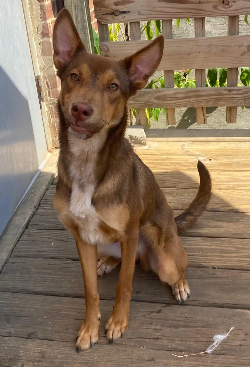 John Doe thumbnail 2