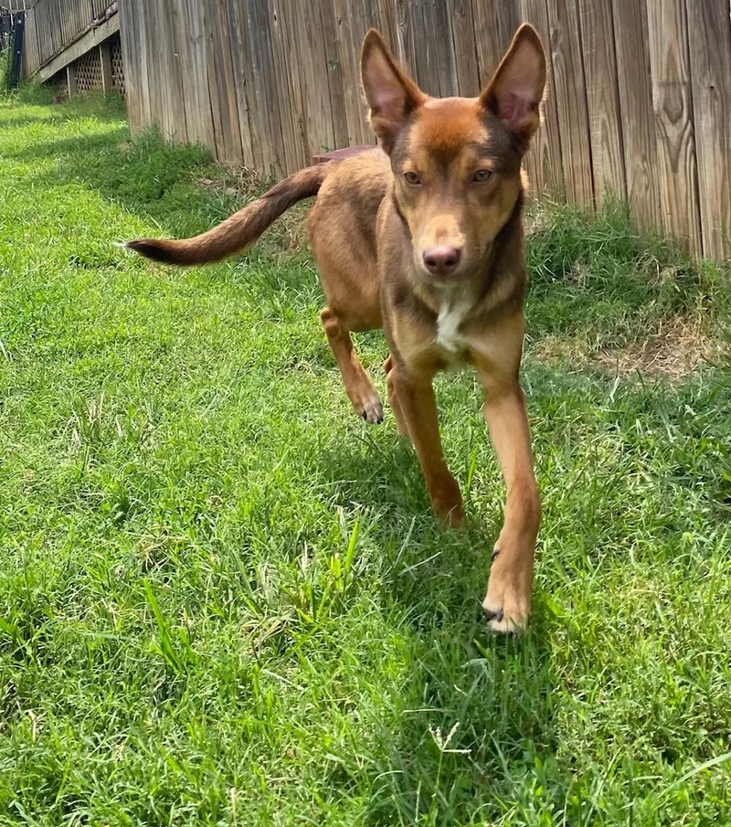 John Doe thumbnail 4