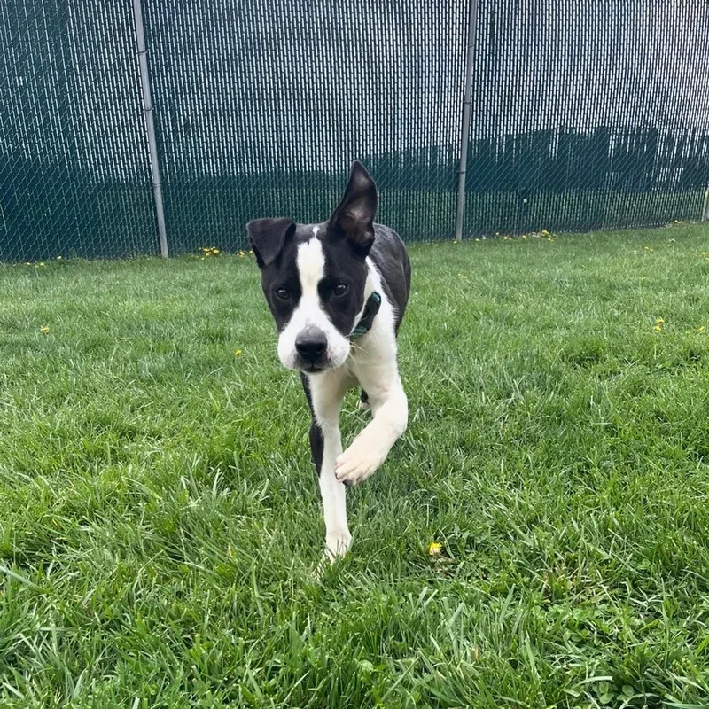 Orbit @ Prison Program
