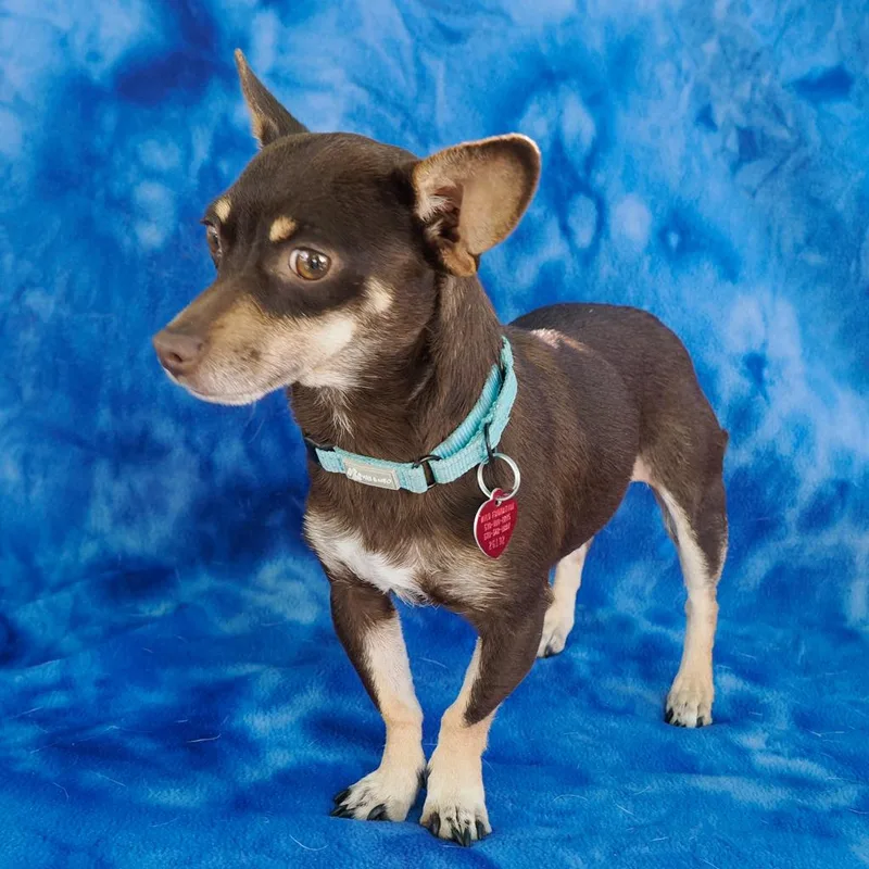 Margarita thumbnail 2