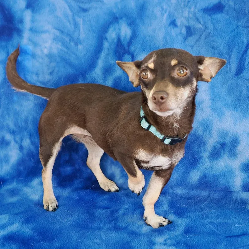 Margarita thumbnail 3