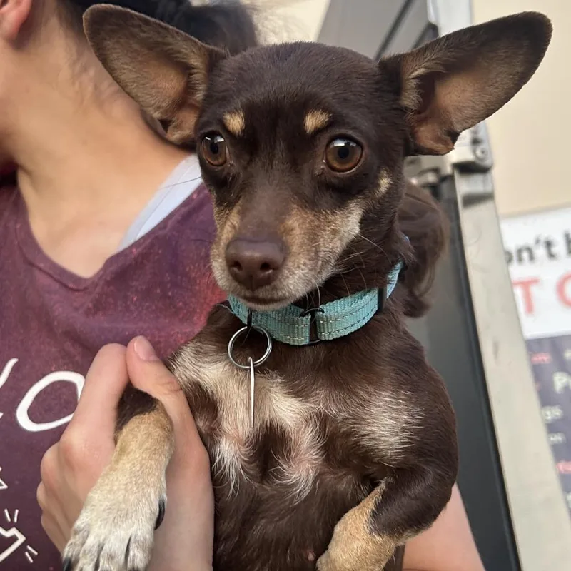 Margarita thumbnail 4