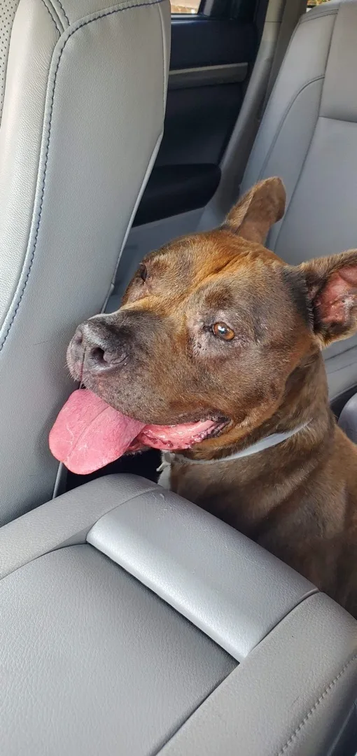 Isabelle thumbnail 2