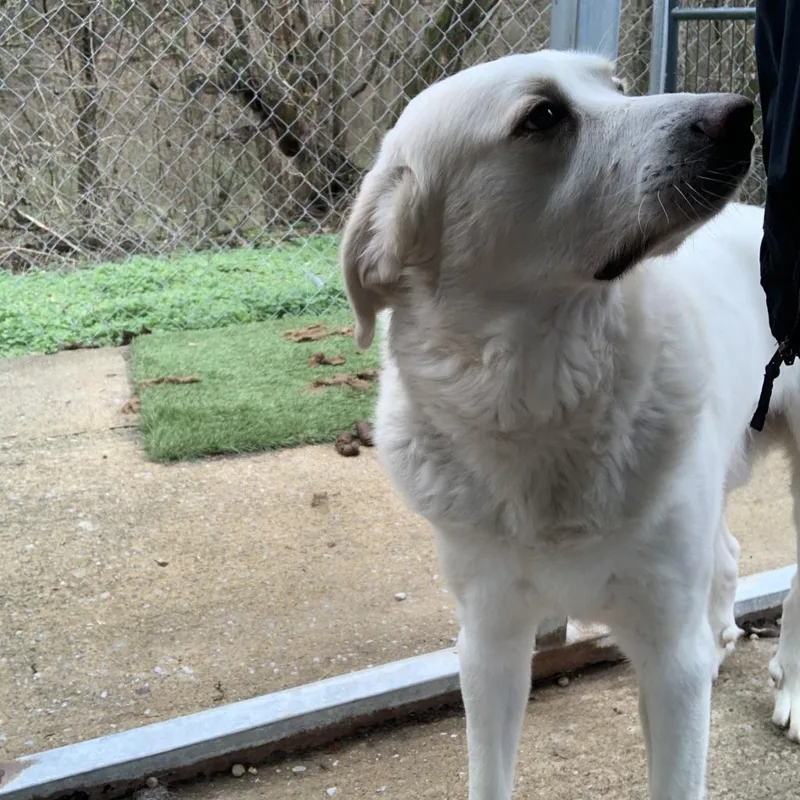 Murphy thumbnail 2