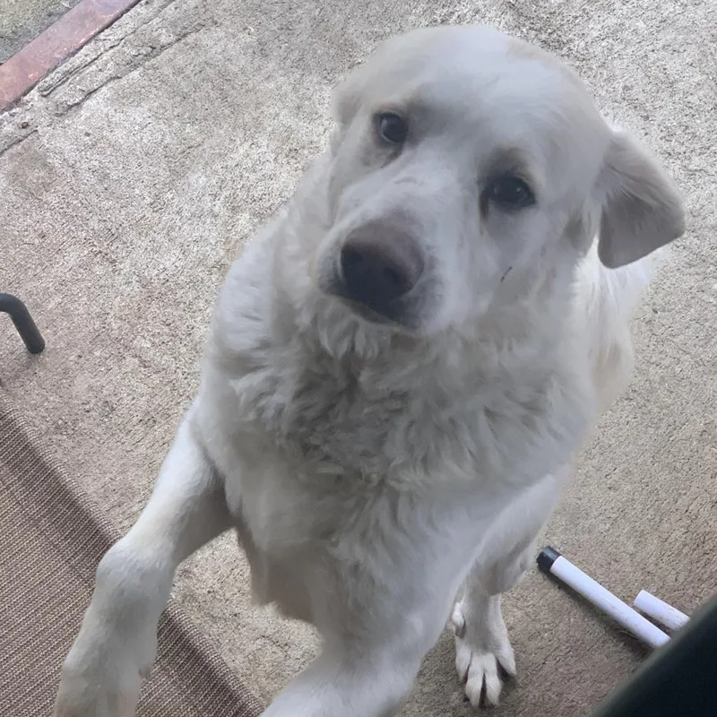 Murphy thumbnail 3