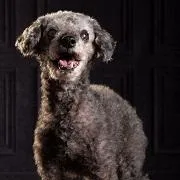 Suzi thumbnail 2
