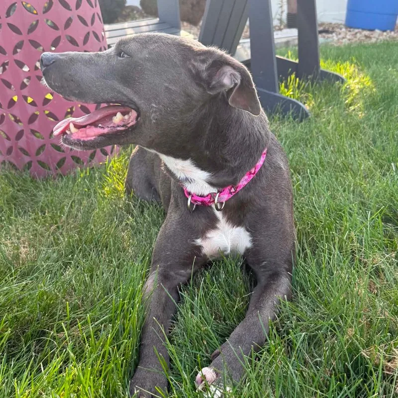Jenga thumbnail 2