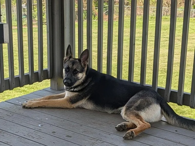 Ruby Mae