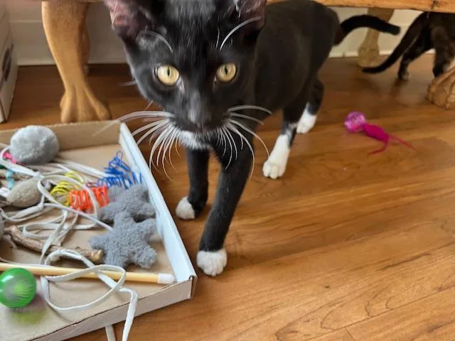 Mr. Biggs is so thumbnail 2