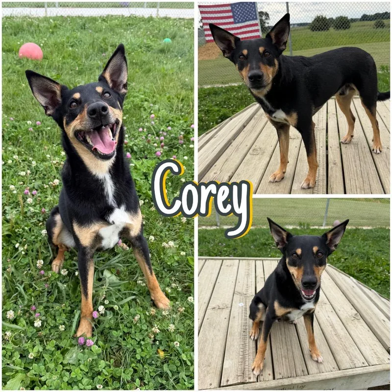 Corey thumbnail 3