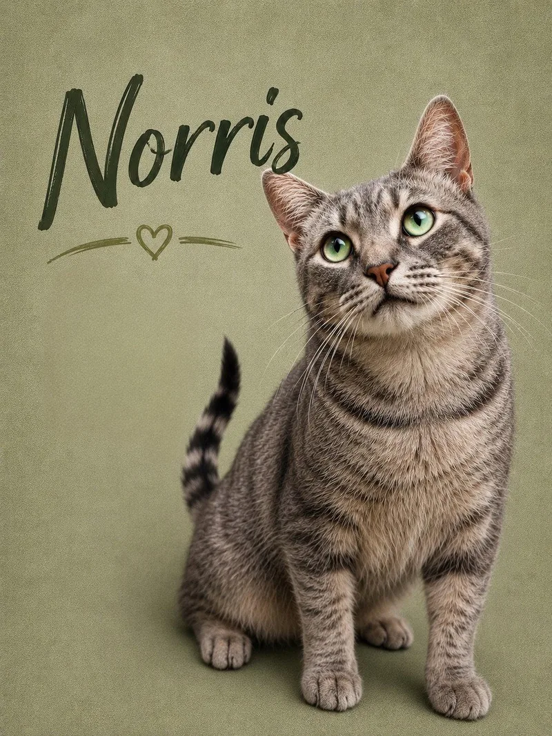 Norris  Willow Grove thumbnail 3
