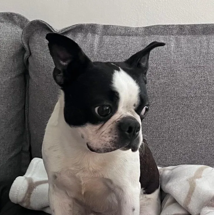 Elvis In Ks thumbnail 2