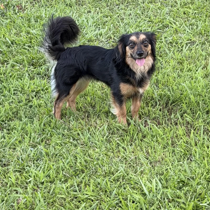 Skye