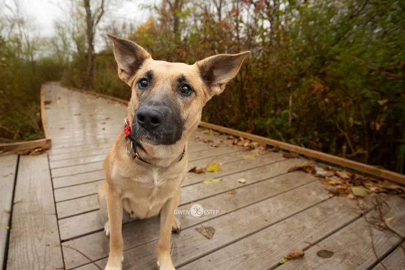 Remington Special Needs thumbnail 2