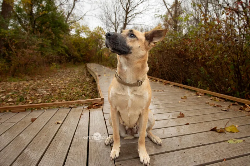 Remington Special Needs thumbnail 3