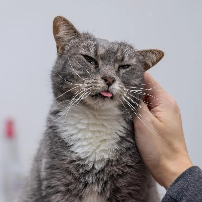 Patricia thumbnail 3