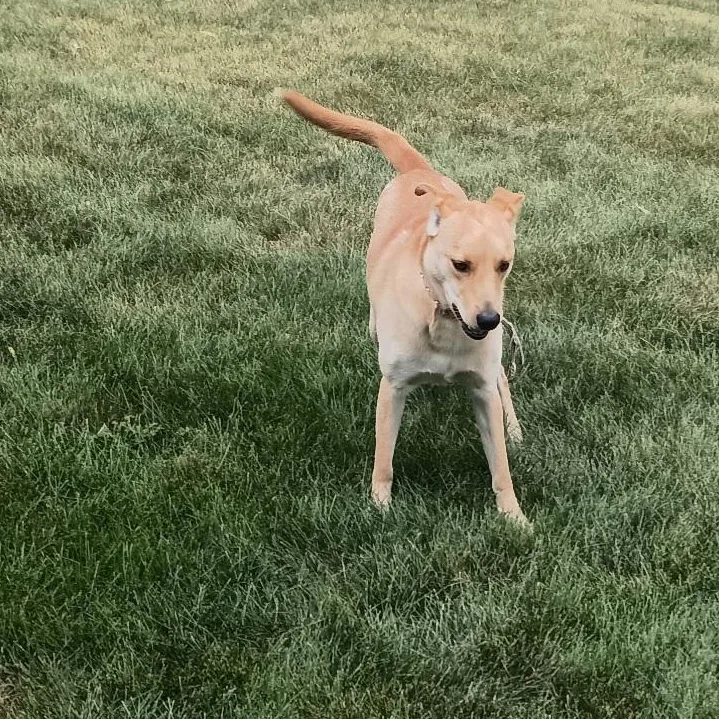 Maggie thumbnail 2