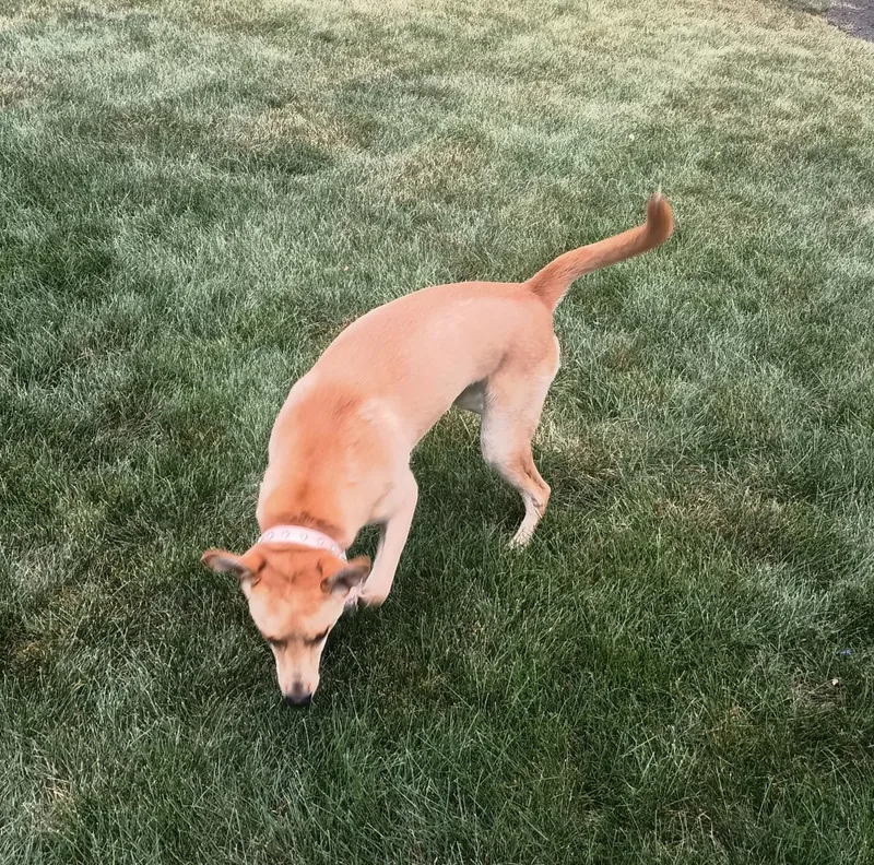 Maggie thumbnail 3