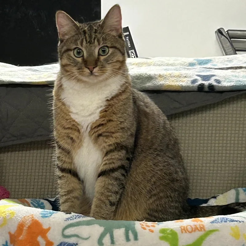 Dolly & Duke thumbnail 2